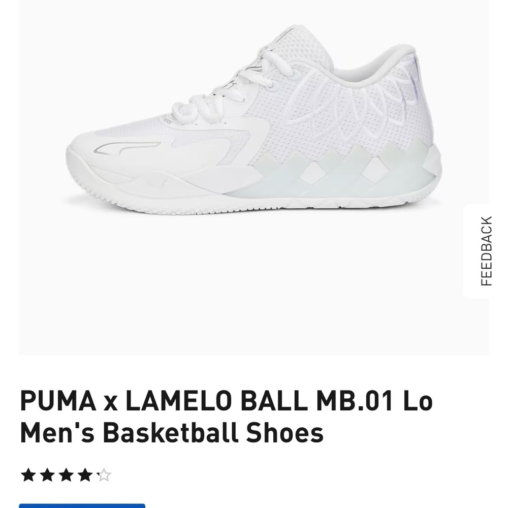 Basketball shoes. Only wore once. Never worn outside.